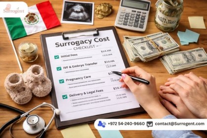 תהליך פונדקאות במקסיקו