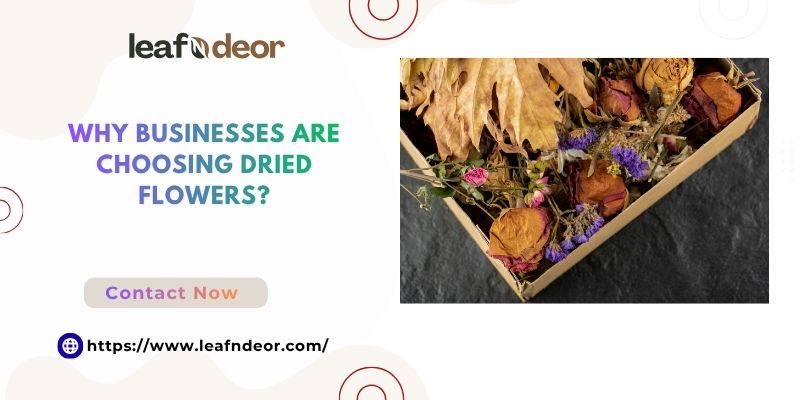Why Businesses Are Choosing Dried Flowers?