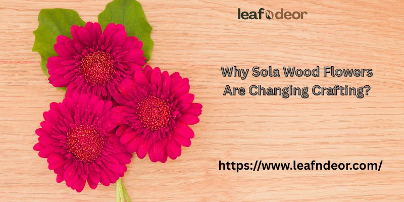 Why Sola Wood Flowers Are Changing Crafting?