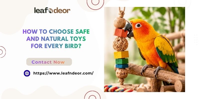 How to Choose Safe and Natural Toys for Every Bird?